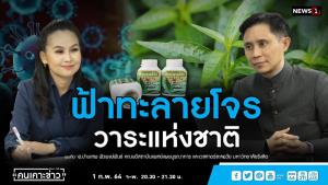 “ปานเทพ” แนะรัฐสนับสนุนฟ้าทะลายโจรเป็นวาระแห่งชาติ
