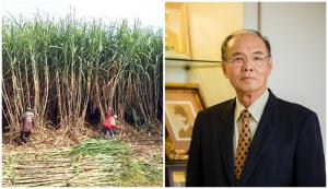 โรงงานน้ำตาลเปิดหีบ 57 วันอ้อยได้แค่ 43.86 ล้านตัน แต่อ้อยสดพุ่ง 75.46%