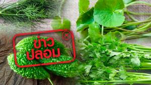 ข่าวปลอม! ดื่มน้ำสกัดจากใบบัวบก ผักชีลาว คึ่นฉ่าย และมะระขี้นก ช่วยรักษามะเร็งก้านสมอง