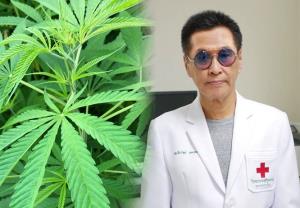 “หมอธีระวัฒน์” แนะจับตา ระวังแค่ใช้ใบกัญชาทำอาหารยังต้องอบรมยุ่งยาก