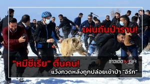 เผ่นกันป่าราบ! "หมีซีเรีย" ตื่นคน! แว้งกวดหลังถูกปล่อยเข้าป่า "อิรัก"