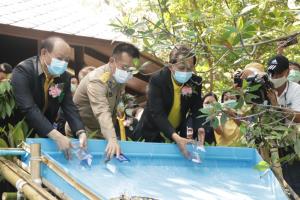 กรมประมงเปิดโครงการ “คืน คง เพิ่ม เติมสัตว์น้ำบริเวณแหล่งก่อเกิดฯ” ปล่อยพันธุ์ปูทะเล 3 แสนตัวสู่ธรรมชาติ
