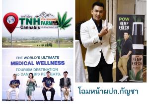 นักธุรกิจพาเหรดเข้าสู่ธุรกิจกัญชา ดันไทยศูนย์กลางกัญชาเพื่อสุขภาพโลก