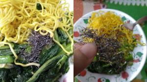 เพจดัง! เผยอุทาหรณ์ลูกค้าสั่ง “บะหมี่” ได้ของแถม เป็นฝอยขัดหม้อจาก “ก๋วยเตี๊ยวป๊อกป๊อก”