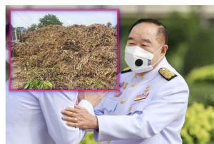สนอง! “พี่ป้อม” จ่อผุดโรงงานปุ๋ยผักตบชวา 5 จังหวัด ดึงงบฯ อบจ.ขนาดใหญ่ เจ้าภาพร่วม