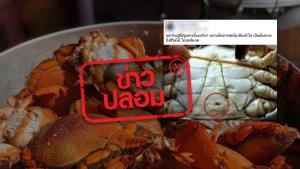 ข่าวปลอม! หลีกเลี่ยงรับประทานปูที่มีรู เพราะมีการฉีดสารฟอร์มาลีนเข้าไป
