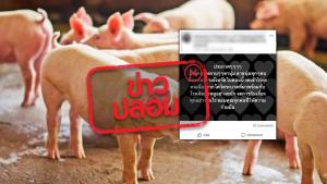 ข่าวปลอม! เชื้อไวรัสโควิด-19 ที่ระบาด มาพร้อมกับโรคติดต่อของหมู