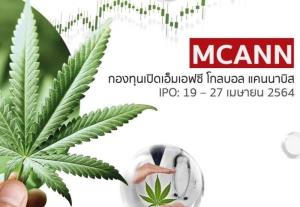 MFC ชวนลุยหุ้นกัญชา เพิ่มโอกาสยิ้มรับผลตอบแทน