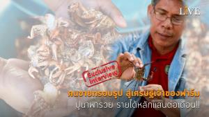 [คลิป] คนขายกรอบรูป สู่เศรษฐีเจ้าของฟาร์ม ปูนาพารวย รายได้หลักแสนต่อเดือน!!