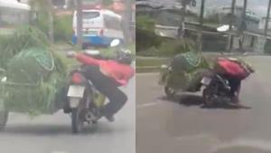 โซเชียลฯ แห่แชร์คลิปเด็กเลี้ยงวัวสงขลา โชว์ขับสามล้อพ่วงสุดฮาหลังกลับจากตัดหญ้า (ชมคลิป)