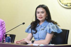 ครม.อนุมัติแผนป้องกันและบรรเทาสาธารณภัยทางการแพทย์และการสาธารณสุข 63-65