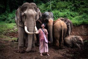 “เครือซีพี” จับมือสมาคมสหพันธ์ช้างไทย คิกออฟโครงการ “คนไทยรักช้าง” ระดมสรรพกำลังบริษัทในเครือ ร่วมด้วยช่วยช้างและควาญช้างก้าวผ่านวิกฤตโควิด-19