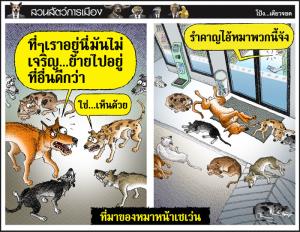 ที่มาของหมาหน้าเซเว่น