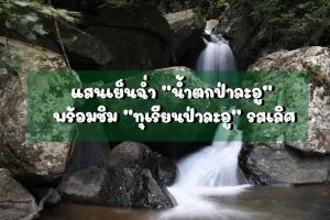 แสนเย็นฉ่ำ “น้ำตกป่าละอู” พร้อมชิม “ทุเรียนป่าละอู” รสเลิศ