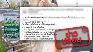 ข่าวปลอม! ผลิตภัณฑ์ เครื่องดื่มผักเชียงดา ช่วยลดระดับน้ำตาลในเลือด บำรุงตับอ่อน ล้างสารพิษ และฟื้นฟูตับอ่อน