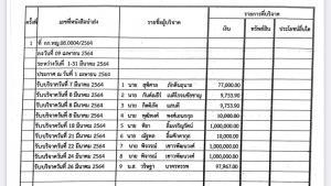 ยอดบริจาค มี.ค. “ก้าวไกล-กล้า” 3 ล. “พิธา-พิจารณ์-วรวุฒิ-แม่เลี้ยงติ๊ก” ดอดบริจาคพรรคตัวเอง