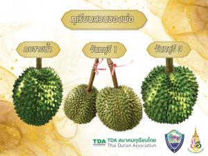 เปิดประมูลทุเรียนจากสวนของพ่อ หารายได้สร้างบ้านพักผู้ป่วยยากไร้ รพ.พระปกเกล้า จ.จันทบุรี