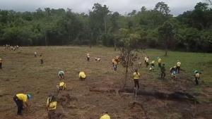 กรมอุทยานฯ นำปลูกป่าในโครงการปลูกป่าและป้องกันไฟ บนเนื้อที่ 30 ไร่