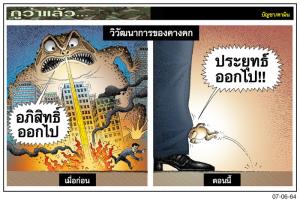 วิวัฒนาการของคางคก