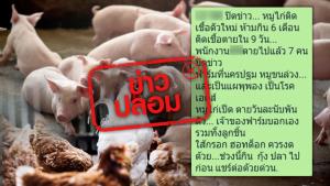 ข่าวปลอม! หมู-ไก่ เป็นโรคเอดส์ ห้ามกิน 6 เดือน
