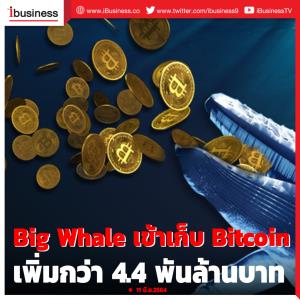 Blockchain เผย Big Whale เข้าเก็บ Bitcoin เพิ่มกว่า 4.4 พันล้านบาท