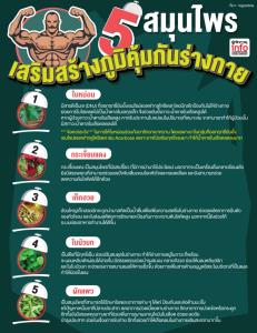5 สมุนไพร เสริมภูมิคุ้มกันร่างกาย