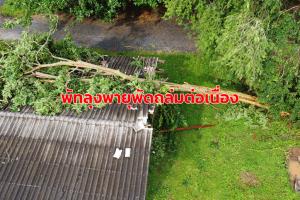 พายุพัดถล่ม จ.พัทลุงต่อเนื่องวันที่ 3 ทำต้นไม้ใหญ่ล้มทับอาคารกิจกรรมนักเรียนเสียหาย