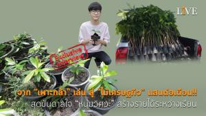 [คลิป] จาก “เพาะกล้า” เล่น สู่ “ไม้เศรษฐกิจ” แสนต่อเดือน!! สุดบันดาลใจ “หนุ่มวิศวะ” สร้างรายได้ระหว่างเรียน