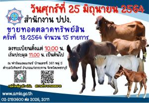 ปปง. ขายทอดตลาดประเภท “ม้า-วัว-อุปกรณ์” 15 รายการ 25 มิ.ย.นี้