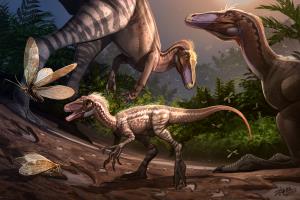 ซินหัว : ภาพจากพิพิธภัณฑ์ไดโนเสาร์จื้อก้ง : ภาพจำลองไดโนเสาร์และรอยเท้าบนพื้นดิน