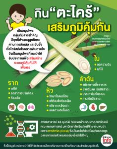 กิน "ตะไคร้" เสริมภูมิคุ้มกันแข็งแรง