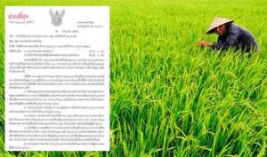 นโยบายเดิม คสช.! “ปลัดมหาดไทย” สั่งผู้ว่าฯ ตรวจค่าเช่านา ปี 64/65  เจอเรียกเก็บเกินอัตรา แจ้งความดําเนินคดีทุกราย