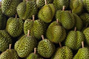 สนค.-สศก.ผนึกกำลังทำแดชบอร์ด “ทุเรียน” ช่วยวางแผนผลิต ทำการตลาด