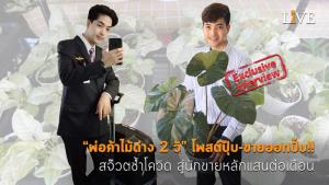 [คลิป] “พ่อค้าไม้ด่าง 2 วิ” โพสต์ปุ๊บ-ขายออกปั๊บ!! สจ๊วตช้ำโควิด สู่นักขายหลักแสนต่อเดือน