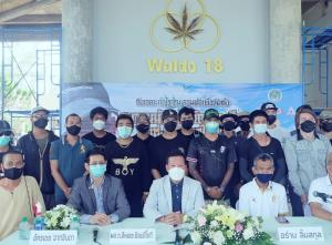 เปิดตัว&amp;#8203; “สมาคมนักปลูกกัญชาอาชีพแห่งประเทศไทย” แลกเปลี่ยน เรียนรู้ สู่มืออาชีพ
