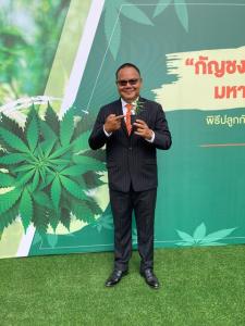 GTH “Golden triangle health” ผนึก NRF และ มข.ปลูกกัญชง