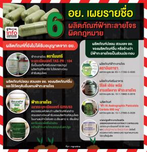 อย. เผยรายชื่อ 6 ผลิตภัณฑ์ฟ้าทะลายโจรผิดกฎหมาย