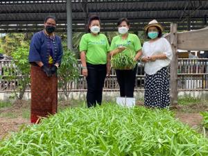 ผู้ว่าโคราชปรับจวนเป็นคลังสมุนไพร  บูรณาการหน่วยงานต้านภัยโควิด-19