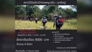 สถานีวิจัยสัตว์ป่าดงพญาเย็นฯ เปิดรับสมัครงานตำแหน่ง “ช่วยปฏิบัติงานวิจัยฯ” 4 อัตรา