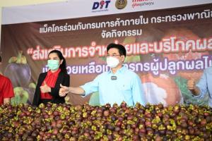 ราคามังคุดใต้กระเตื้องหลังแก้ปัญหาขาดล้งจบ แถมหน่วยงานรัฐ-เอกชนช่วยซื้อ