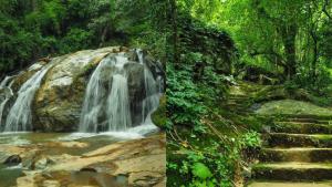 สุดว้าว! อุทยานฯเผยภาพความสวยงาม “น้ำตกแม่สา” ในอุทยานแห่งชาติดอยสุเทพ-ปุย