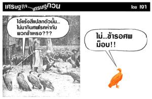 แร้งสีแปลก