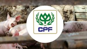 CPF ซื้อธุรกิจสุกรในรัสเซีย 9.9 พันล้าน คาดแล้วเสร็จ ม.ค.65