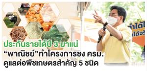 ประกันรายได้ปี 3 มาแน่ “พาณิชย์” ทำโครงการชง ครม.ดูแลต่อพืชเกษตรสำคัญ 5 ชนิด