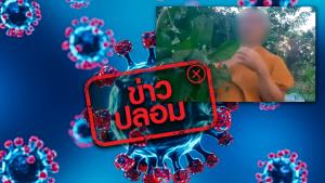 ข่าวปลอม! รับประทานใบป่าช้าเหงาผสมน้ำผึ้ง ช่วยรักษาโควิด-19 ได้
