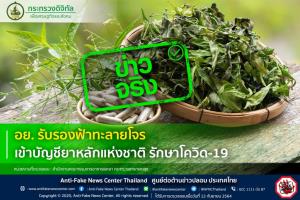 ข่าวจริง! อย. รับรองฟ้าทะลายโจร เข้าบัญชียาหลักแห่งชาติ รักษาโควิด-19 จริงหรือ ?