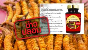 ข่าวปลอม! ผลิตภัณฑ์ภูมิถั่งเช่า ช่วยเพิ่มภูมิต้านทานโรค