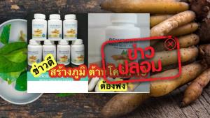 ข่าวปลอม! ผลิตภัณฑ์เสริมอาหาร สารสกัดกระชายขาวผสมพลูคาว ช่วยเสริมภูมิคุ้มกัน ต้านโควิด-19