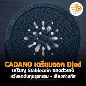 CADANO เตรียมออก Djed เหรียญ Stablecoin ของตัวเอง หวังลดต้นทุนธุรกรรม - เลี่ยงค่าแก๊ส