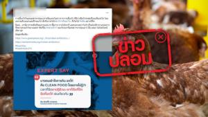ข่าวปลอม! มีการฉีดโกรทฮอร์โมนเพื่อเร่งโต โดยเฉพาะบริเวณอกและปีกของไก่